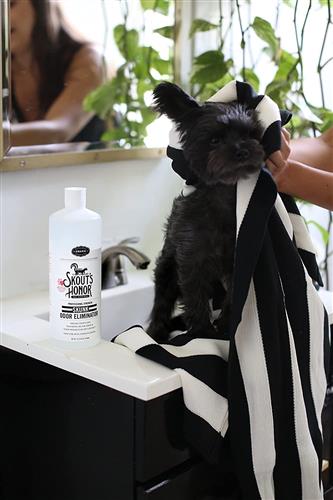 Skout's Honor Skunk Odor Eliminator